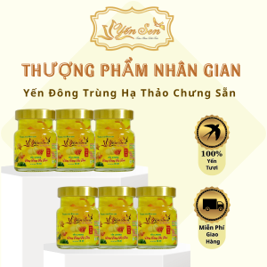 Combo 6 Hũ Yến Chưng Đông Trùng Hạ Thảo Nguyên Chất