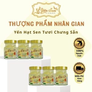 Combo 6 Hũ Yến Chưng Hạt Sen Nguyên Chất